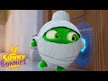 SUNNY BUNNIES - Hopper The Mummy | Season 6 | Cartoons for Children