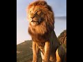 Free the Lion in you! plz SUBSCRIBE 2 OUR CHANNEL,  one love!