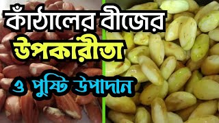 কাঁঠালের বীজের উপকারিতা ও পুষ্টি উপাদান | Benefits and nutritional content of jackfruit seeds |2024