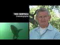 Sharks - The Ocean's Apex Predators  The Blue Realm  Free Documentary Nature