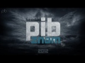 p.i.b. family haludze 2012