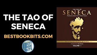 The Tao of Seneca Book Summary