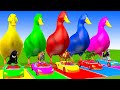 5 Giant Duck Cartoon,Cow,Elephant,Tiger,Lion,Gorilla, Paint Wild Animals Crossing Fountain Animation