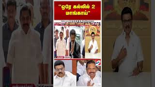 'ஒரே கல்லில் 2 மாங்காய்''