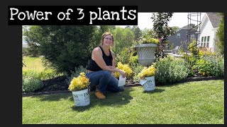 The Power of Planting in sets of 3: Bonus: Cottage Garden Tour April 2023. Plants Bring Wellbeing!!