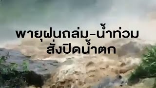 ทั่วทุกภาคเจอฝนตกหนัก น้ำป่าไหลหลาก-ต้นไม้หักโค่นหลายจุด