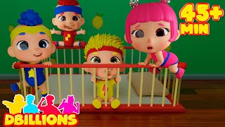 Mommy, Daddy, Grandma & Grandpa with Baby DB | Mega Compilation | D Billions Kids Songs