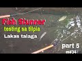 Fish Stunner part 5 Testing sa Tilapia Malakas talaga..
