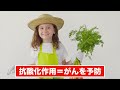 【糖尿病必見！】知らないと一生後悔！キャベツと一緒に食べるだけで血糖値 u0026hba1cが下がる食べ物と避けるべき食べ方【ごっそり痩せる・便秘解消・代謝アップ・がん細胞消滅・糖尿病・高齢者・血糖値】