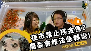 去夜市撈金魚、釣烏龜、抽鼠兔｜農委會修法禁止又政策大轉彎？｜feat. 林樵 台灣愛兔協會公共事務長｜公視我們的島 Podcast@EP.33