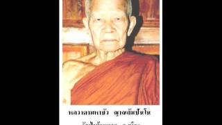 หลวงตามหาบัว-อวิชชาเป็นต้นเหตุ