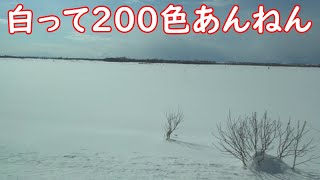 【特急サロベツ】2023年ラブパス8枚目の旅　#53　もんめた前枠～抜海駅通過～豊富駅到着アナウンス～豊富駅出発～下沼駅通過～幌延駅到着アナウンス～幌延駅出発【宗谷本線】