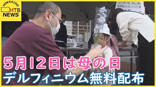 母の日　デルフィニウムの花束を無料配布　「魅力を知ってほしい」　北海道新ひだか町