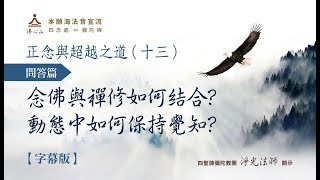 正念與超越之道(十三)問答篇1：念佛與禪修如何結合？動態中如何保持覺知？【字幕版】__淨光法師開示