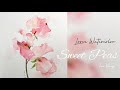 Watercolor Sweet Peas | Loose Watercolor