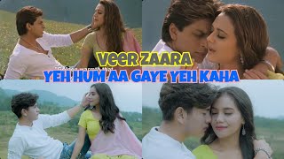 VEER ZAARA - YEH HUM AA GAYE - Vina Fan Parodi Recreate - Shah Rukh Khan Preity Zinta