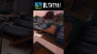 【01/16】君は見つかられるかな？てらごりを探せ part３ #fortnite #フォートナイト  #shorts #かくれんぼ