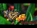 Relaxing Sleep Music / Water Sounds - Piano Music