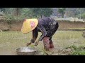 the start of the rice growing season and a surprising meeting