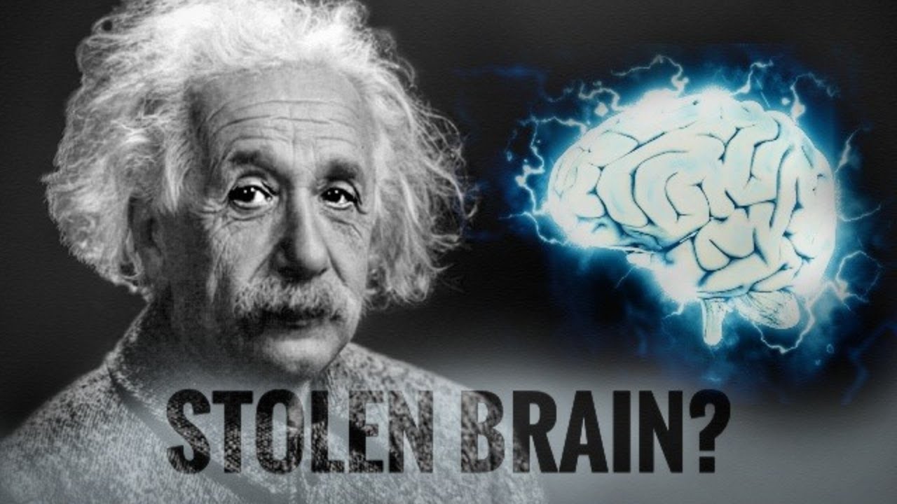 How Einstein's Brain Was Different From Normal Humans | The Secrets Of ...