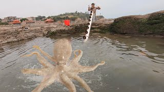 大坑浑浊无比阿阳坚持抽干，水干后竟蹿出巨大章鱼，把石头都提起