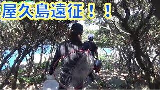 世界遺産の屋久島遠征！！