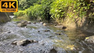 【4K映像/自然】とある夏の田舎 川のせせらぎと蝉の鳴き声(睡眠導入・リラックス・勉強・仕事・瞑想・教育/2時間)【Natural Sounds/Relax Sounds/2hour】