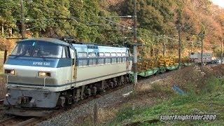 JR貨物 EF66 130号機+チキ3B+コキ2B(試験用コンテナ2個積載) 臨時貨物列車8463レ 新南陽→幡生 2013.12