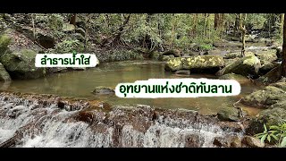 ลำธารนํ้าใส อุทยานแห่งชาติทับลาน #ลำธาร#อุทยานแห่งชาติเขาใหญ่ #เที่ยวไทย #อุทยานแห่งชาติทับลาน