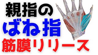 親指のバネ指解消！筋膜リリース