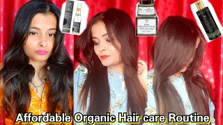 Affordable Organic Haircare Routine || TNW The Natural Wash products review \u0026 Application