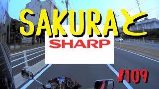 SAKURAとSHARP_109@HORNET250(ホーネット250)_モトブログ(MOTOVLOG)