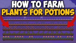 How To Farm Plants for Potions in Terraria 1.4.4.9  | Plants for Potions Farm Terraria