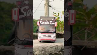 Saudi Silky Miniature Bus bd_bus_lover_group #bdbl #bdbuslover #viral #short #Bus  #shot #bdbl #bus