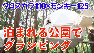 【モトブログ #8】クロスカブとモンキー125で行く静岡〜沼津230kmツーリング〈グランピング編〉