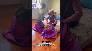 有一种冷叫奶奶觉得你冷 #pets #cute #funny #萌宠 #有趣的动物 #萌寵