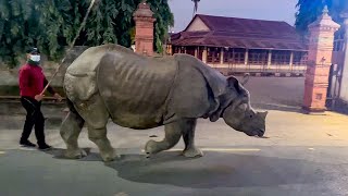 Chitwan ke Jungle se Rhino Road par aa gaya 😳 OMG | Ep. 16