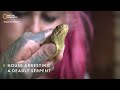 House Arresting a Deadly Serpent | Snakes In The City | National Geographic