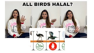 Indian Reaction On Animals & Birds: Halal Or Haram In Islam | Sidhu Vlogs