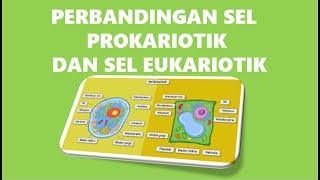 PERBEDAAN SEL PROKARIOTIK SAN SEL EUKARIOTIK  Kelas 7 Part 6 K-13 Revisi