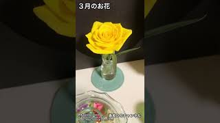 #花　#カーネーション #ガーベラ #バラ