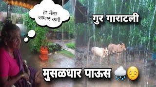 कोकणात पडतोय मुसळधार पाऊस 🌧😱कधी जाणार 🌾भात कापणी कशी करायची 🙆‍♂️ #kokan #kokanvlog #villagelife