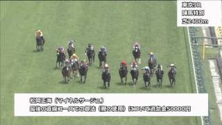 2016年4月30日・5月1日東京競馬制裁事象【菊沢一樹ムチ制裁2発】