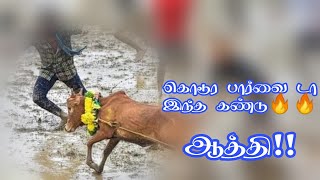 செம்ம தோரணையா பாயுது இந்த கண்டு || என்ன ஒரு தோரணை