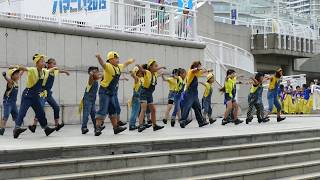 メガロス横濱 ・ 2015ハマこい・パシフィコ横浜プラザ広場