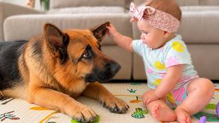 Baby Discovers Her German Shepherd's Ears for the First Time