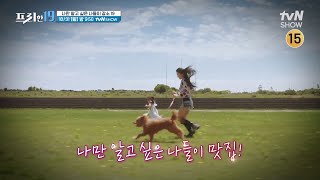 [예고] 나만 알고 싶은 나들이 장소 19 #프리한19 EP.335