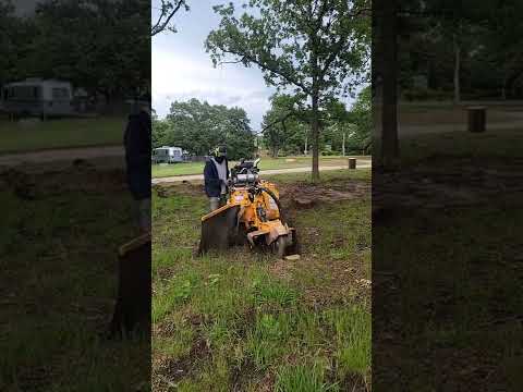 Land Clearing - YouTube