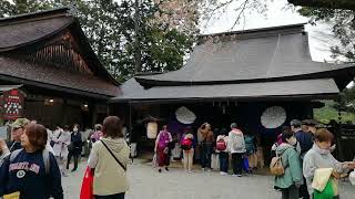 吉水神社　吉野の桜🌸　南朝皇居　世界遺産　歴史  #Nara #traveljapan