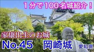 【1分で100名城紹介】No.45　岡崎城 #shorts #お城 #愛知県